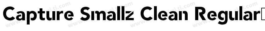 Capture Smallz Clean Regular字体转换